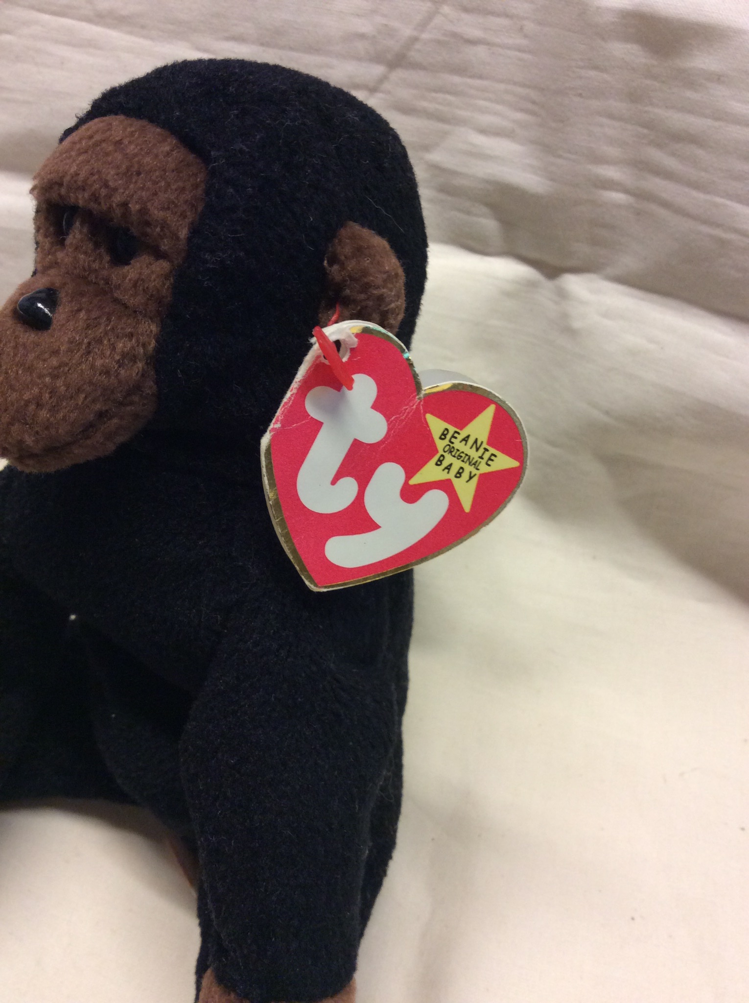 TY Beanie Baby Congo - The Gorilla (Monkey) - Image 3