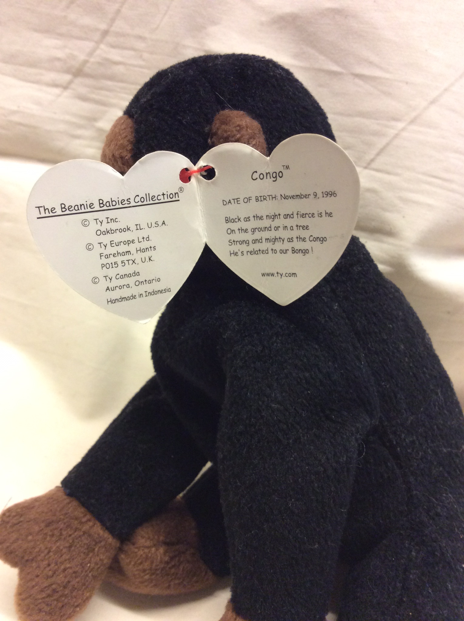 TY Beanie Baby Congo - The Gorilla (Monkey) - Image 2
