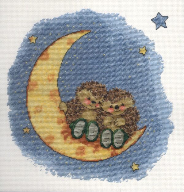 Country Companions On The Moon (Hedgehogs) Cross Stitch Kit 14 Count DMC - K5011 - Image 3