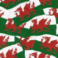 Fat Quarter Welsh Flag Wales Dragon Sewing 100% Cotton Quilting Fabric