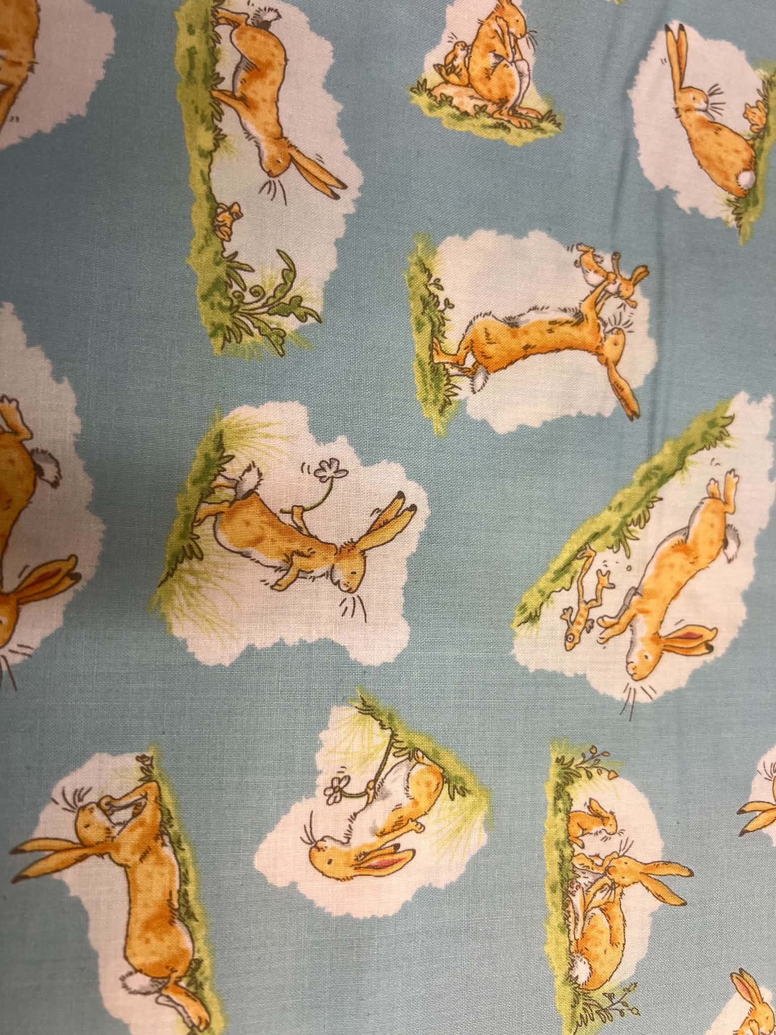 Fat Quarter Guess How Much I Love You - When I'm Big Hare Cotton Quilting Fabric - Image 3